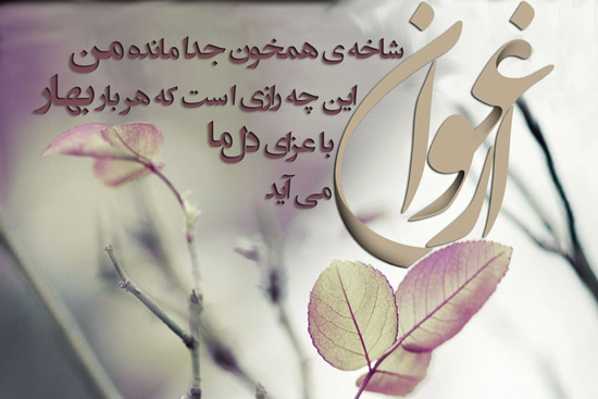 عکس نوشته شعر ارغوان سایه متن شعر ارغوان به همراه جزئیات و تحلیل آن
